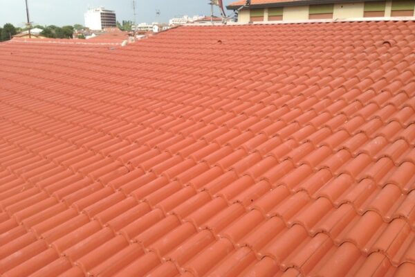 Coppo-di-grecia-rosso