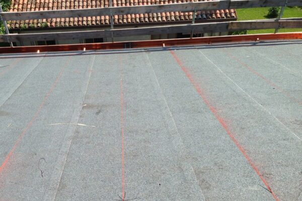 guaina-ardesiata guaina-ardesiata